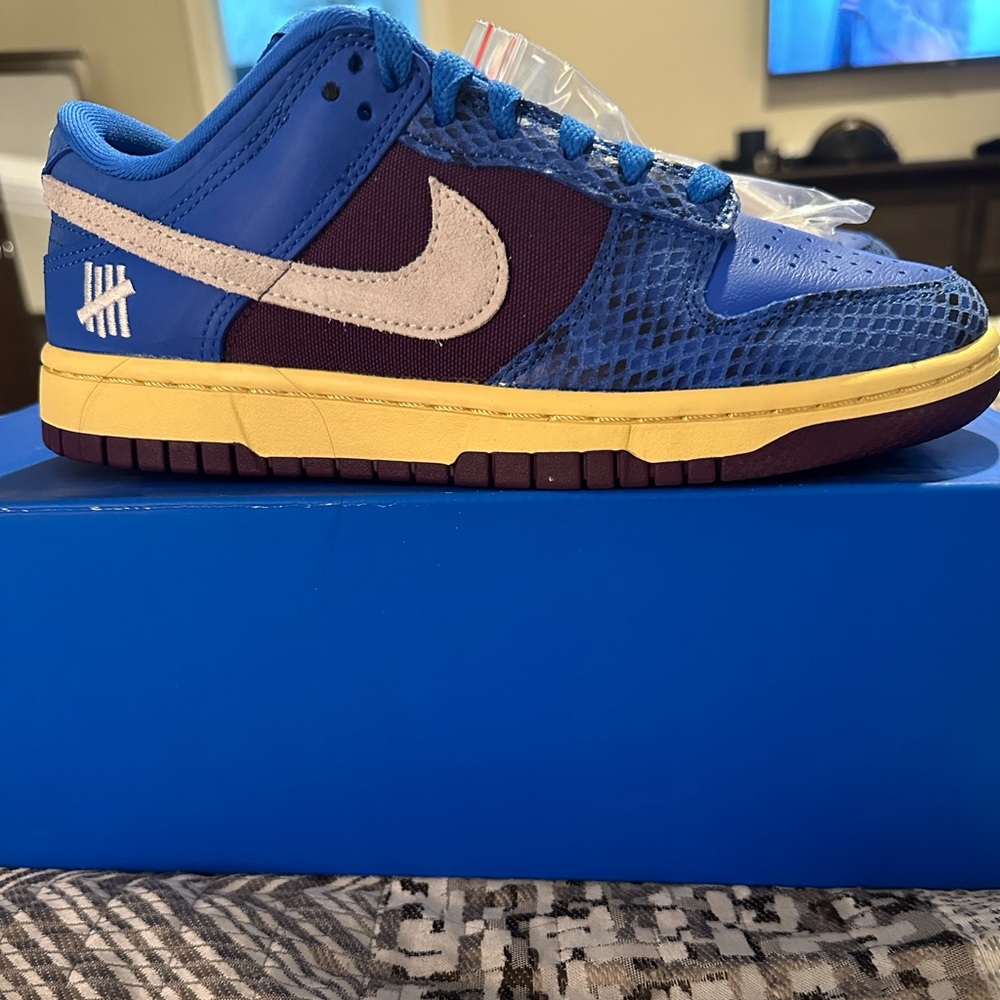 NIB - Nike Dunk Low SP DH6508-400 - Picture 7 of 11